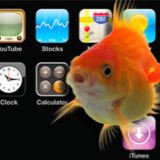 iGoldfish, goldfish for your iPhone and iPod touch